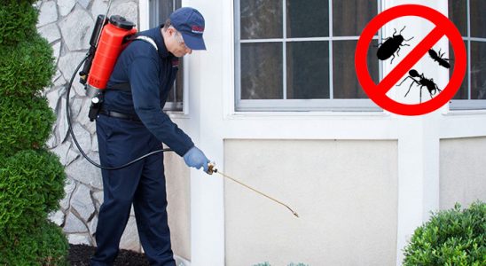 Ovacık Tahtakurusu İlaçlama böcek ilaçlama ve haşere kontrolü — ilaclama-tr.com